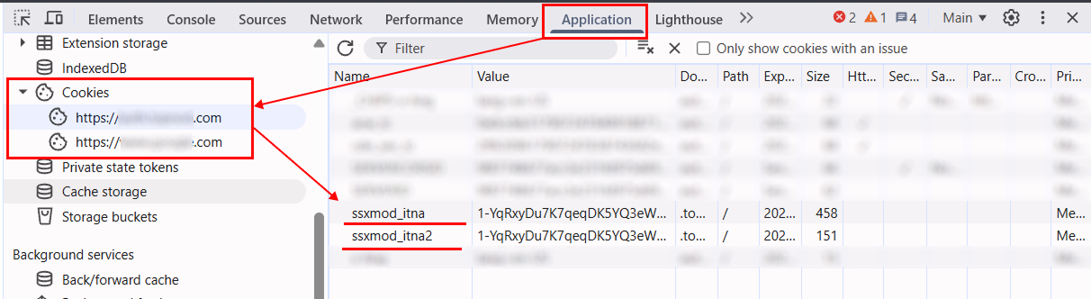 Cookies ssxmod_itna и ssxmod_itna2 во вкладке Application